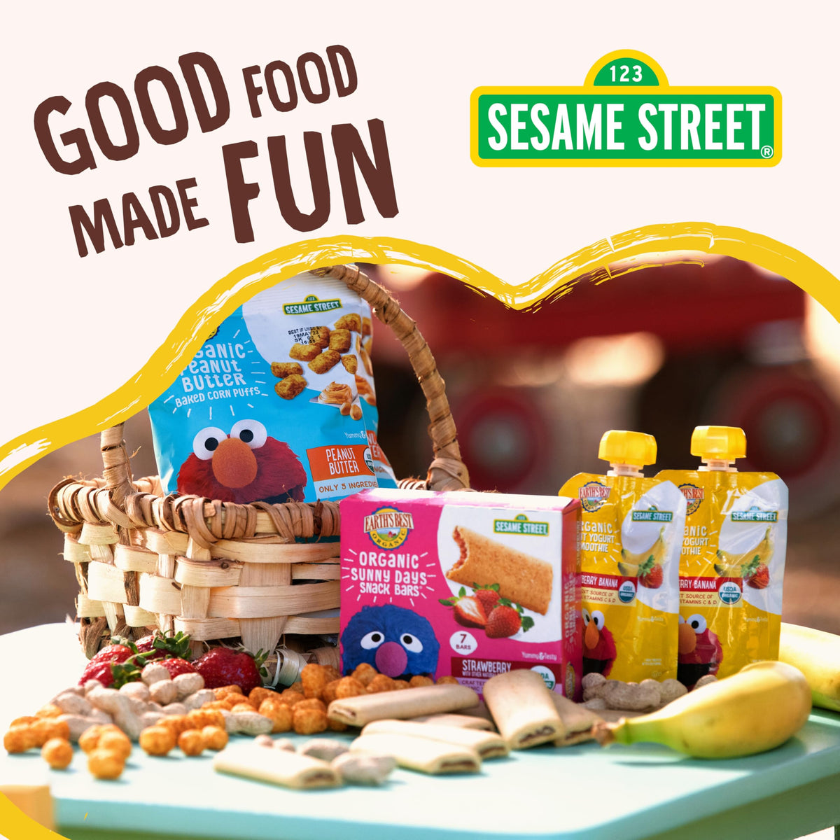 Earth's Best Organic Letter of the Day Cookies for Toddlers – Oatmeal Cinnamon, 5.3 oz Box (Pack of 6)