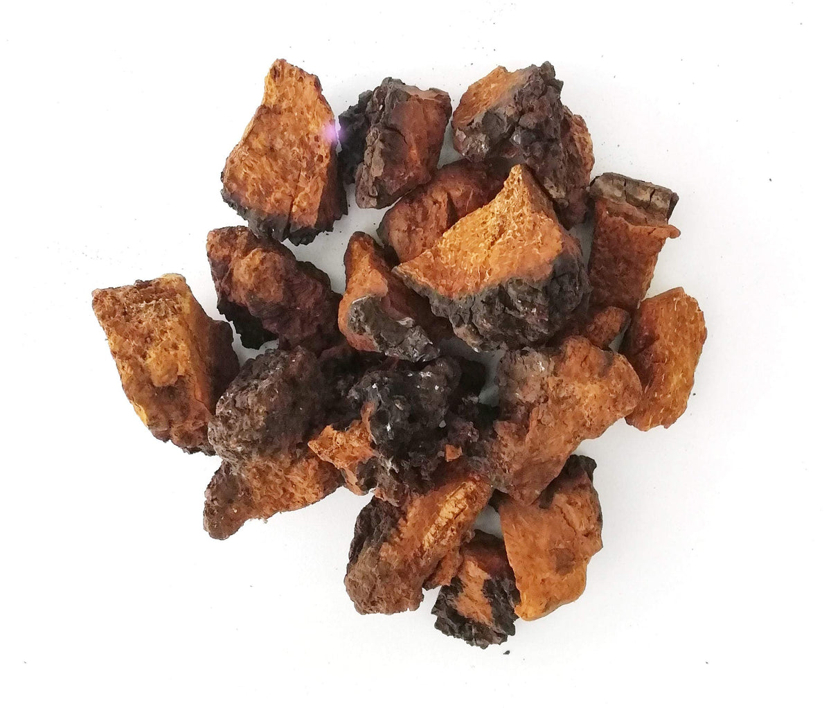 ECO-TASTE Chaga Chunks 8oz – Wild-Harvested, Caffeine-Free Tea Chunks