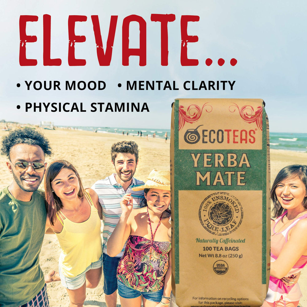 ECOTEAS Premium Organic Yerba Mate Tea Bags – Unsmoked, Kosher & Non-GMO Bulk 100 Bags