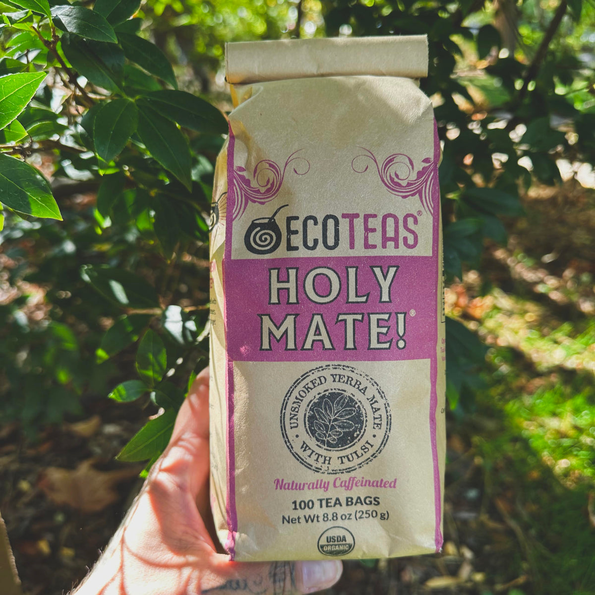 ECOTEAS Holy Mate Organic Yerba Mate Tea Bags with Tulsi & Mint – Natural Energy, Stress Support