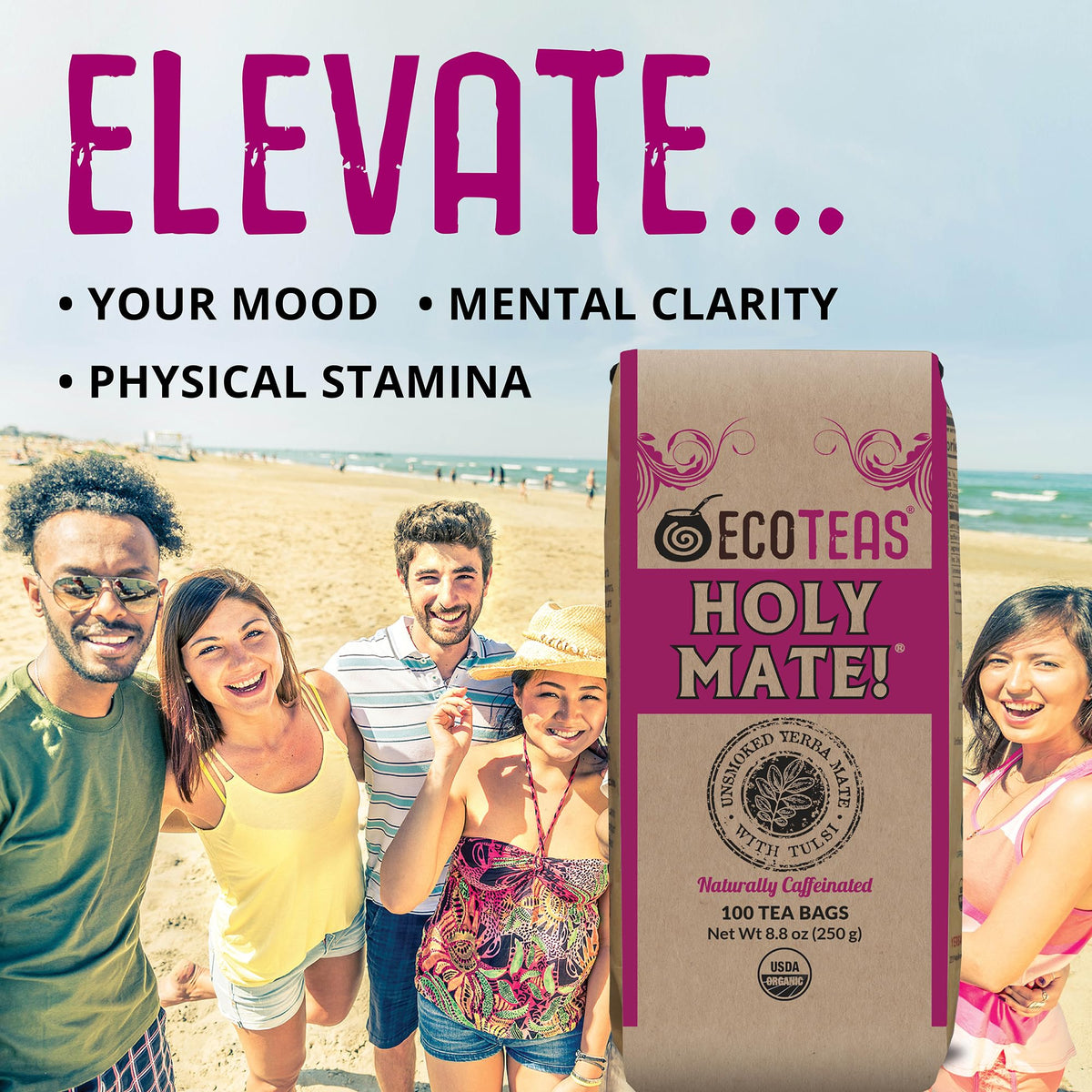 ECOTEAS Holy Mate Organic Yerba Mate Tea Bags with Tulsi & Mint – Natural Energy, Stress Support