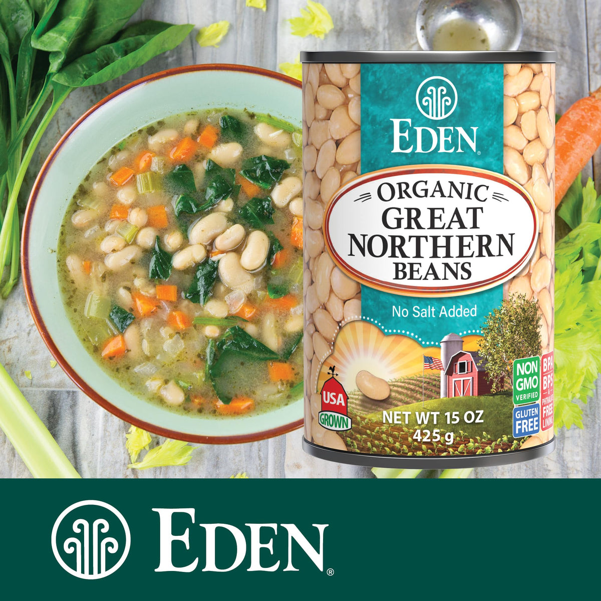 Eden Organic Great Northern Beans – No Salt Added, 15 oz Can (12-Pack) | Gluten Free, Non-GMO, U.S.-Grown