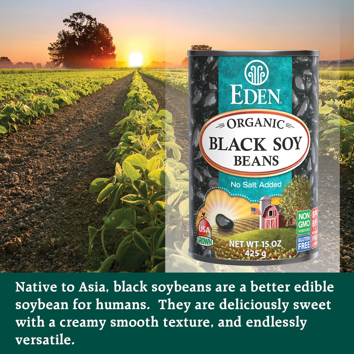 Eden Organic Black Soybeans | 15 oz Can (6-Pack) – Complete Plant Protein, Low Sodium, Gluten Free