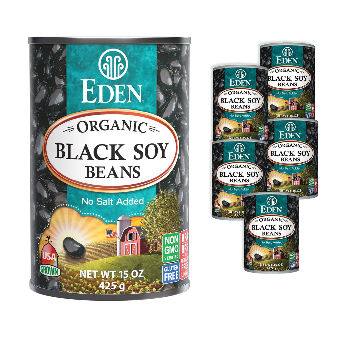 Eden Organic Black Soybeans | 15 oz Can (6-Pack) – Complete Plant Protein, Low Sodium, Gluten Free