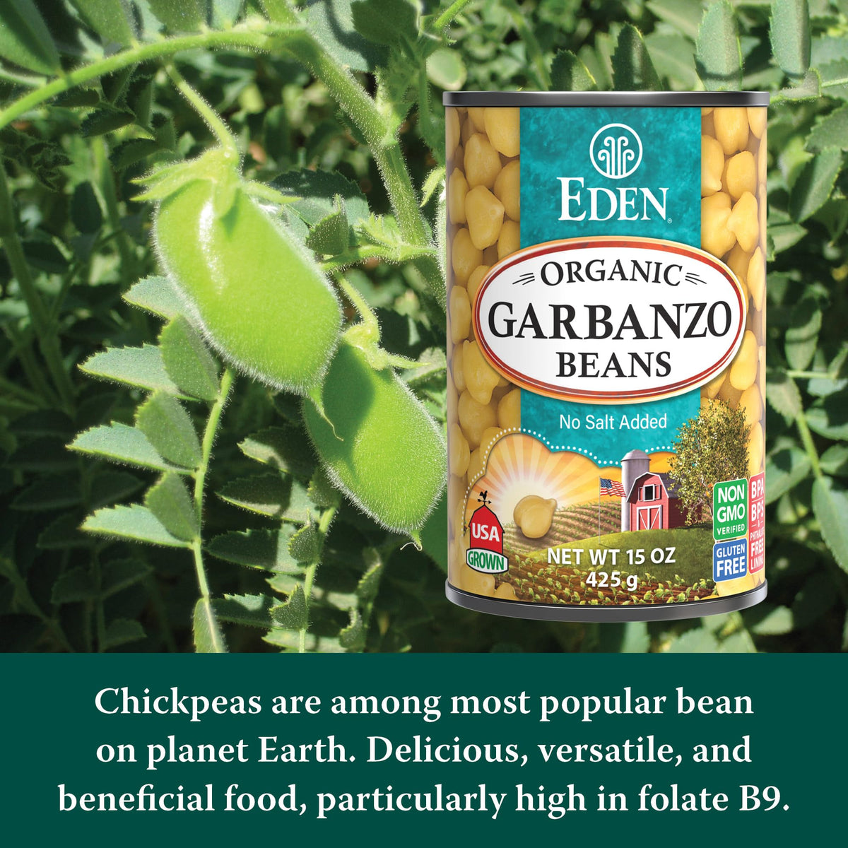 Eden Organic Garbanzo Beans (Chickpeas) 15 oz Can — No Salt Added, 12-Pack, Gluten Free, Vegan