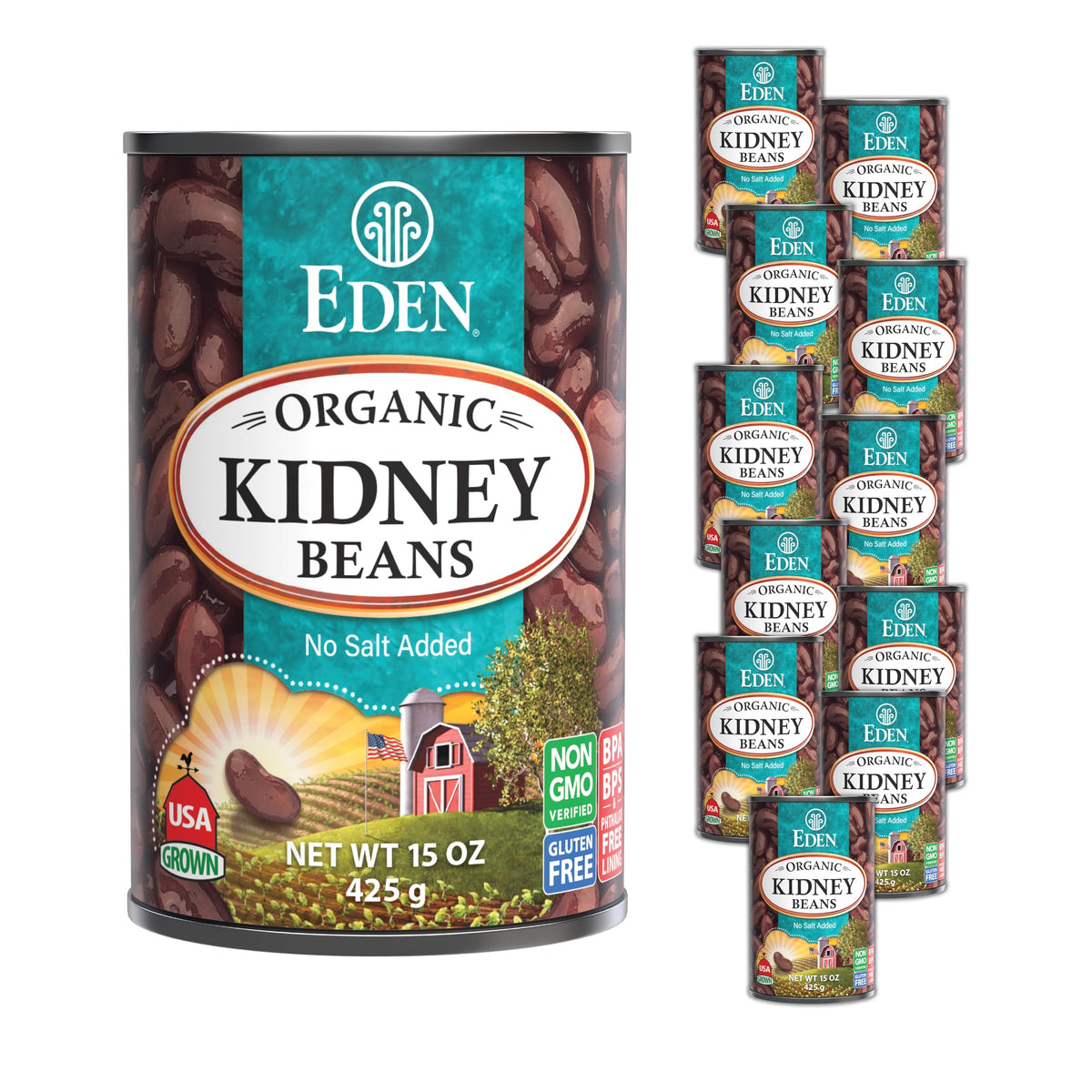 Eden Organic Kidney Beans No Salt Added – 15-Ounce Cans (Pack of 12)