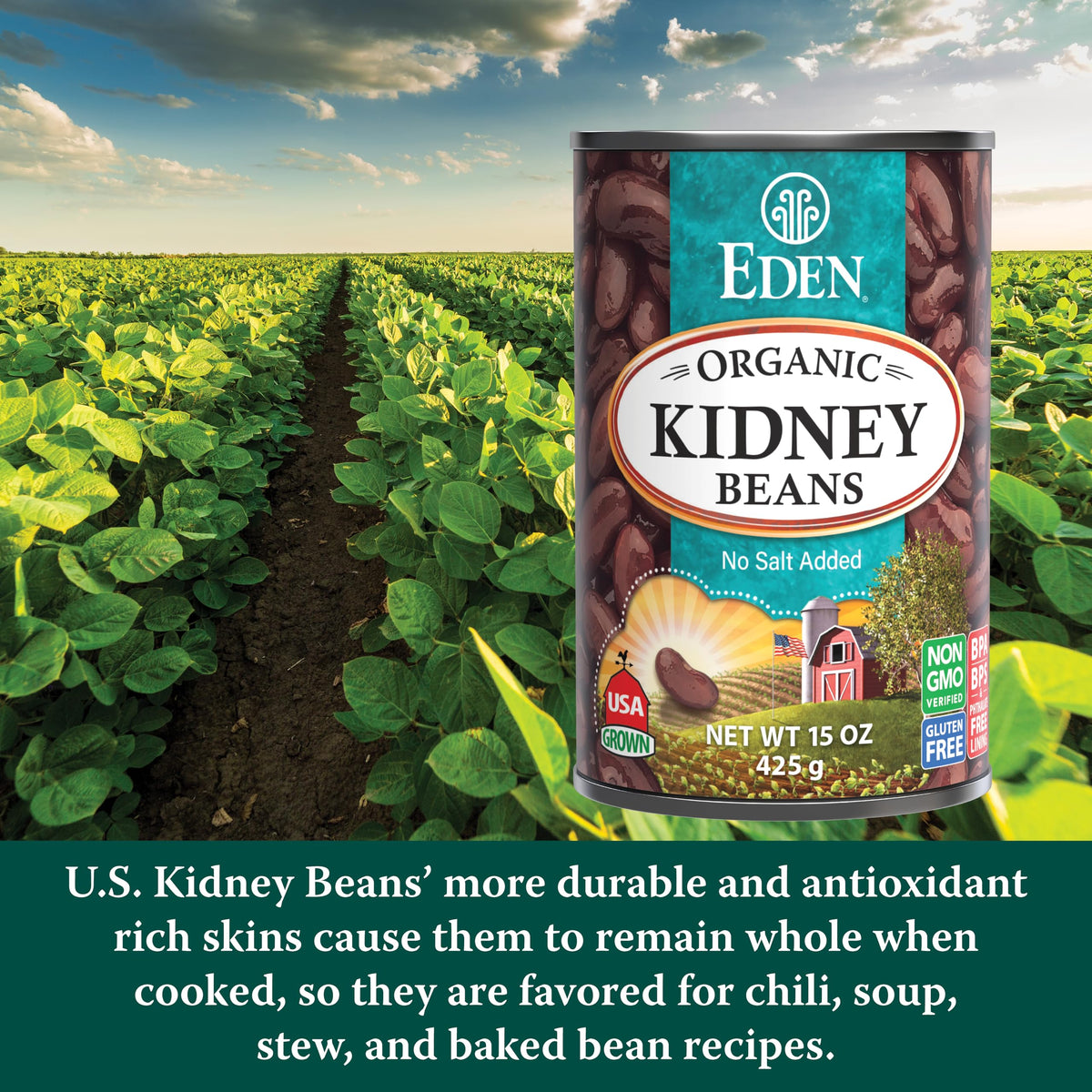 Eden Organic Kidney Beans No Salt Added – 15-Ounce Cans (Pack of 12)