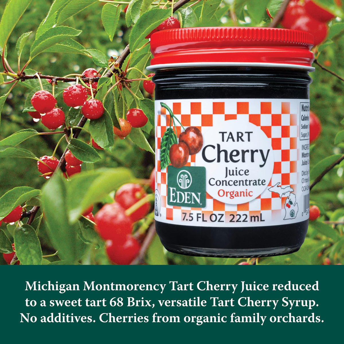 Eden Organic Montmorency Tart Cherry Juice Concentrate – 68 Brix, No Artificial Sugars, Michigan Cherries, 7.5 fl oz