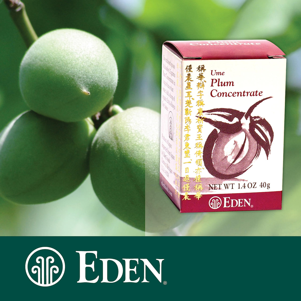 Eden Ume Plum Concentrate Bainiku Ekisu – 1.4 oz, 30x Concentrate