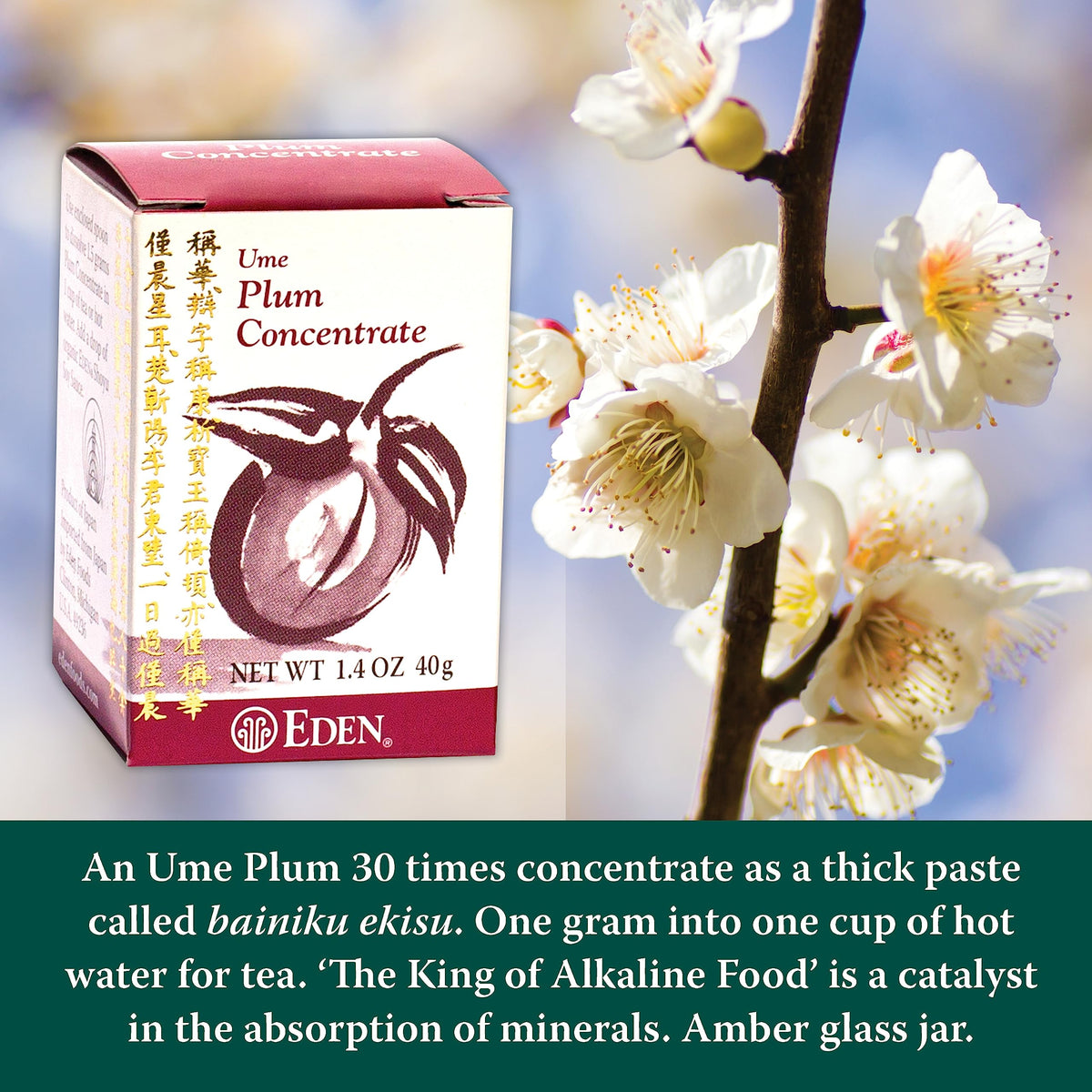Eden Ume Plum Concentrate Bainiku Ekisu – 1.4 oz, 30x Concentrate