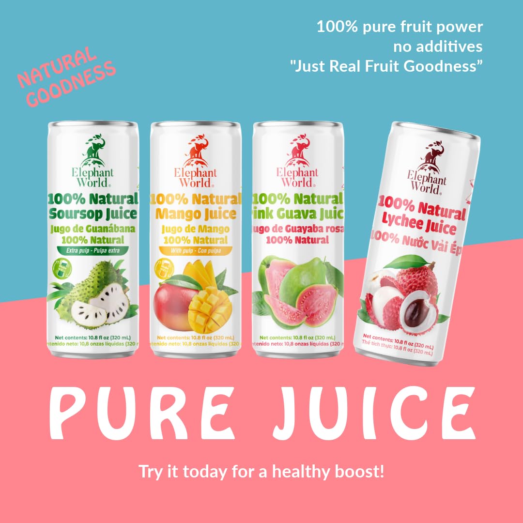 Elephant World 100% Natural Lychee Juice | Non-GMO | 12-Pack, 320 ml | No Sugar Added