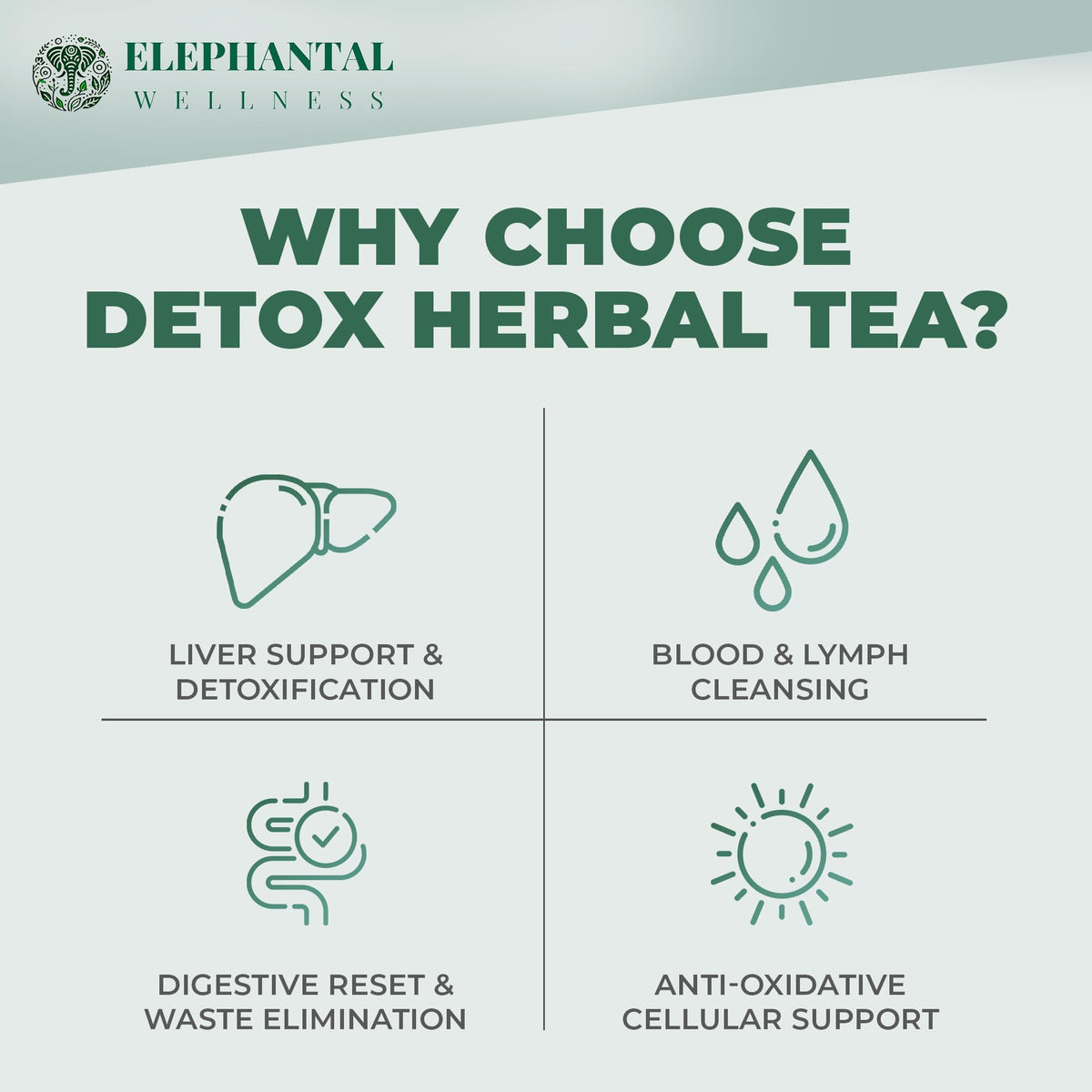 Elephantal Wellness Premium Detox Tea | Turmeric, Milk Thistle & Dandelion | 4oz, 40 Servings