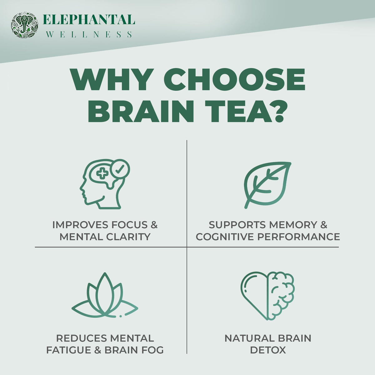 Elephantal Wellness Premium Brain Herbal Tea | Nootropic Focus, Caffeine-Free, Non-GMO (2oz, 20 Servings)