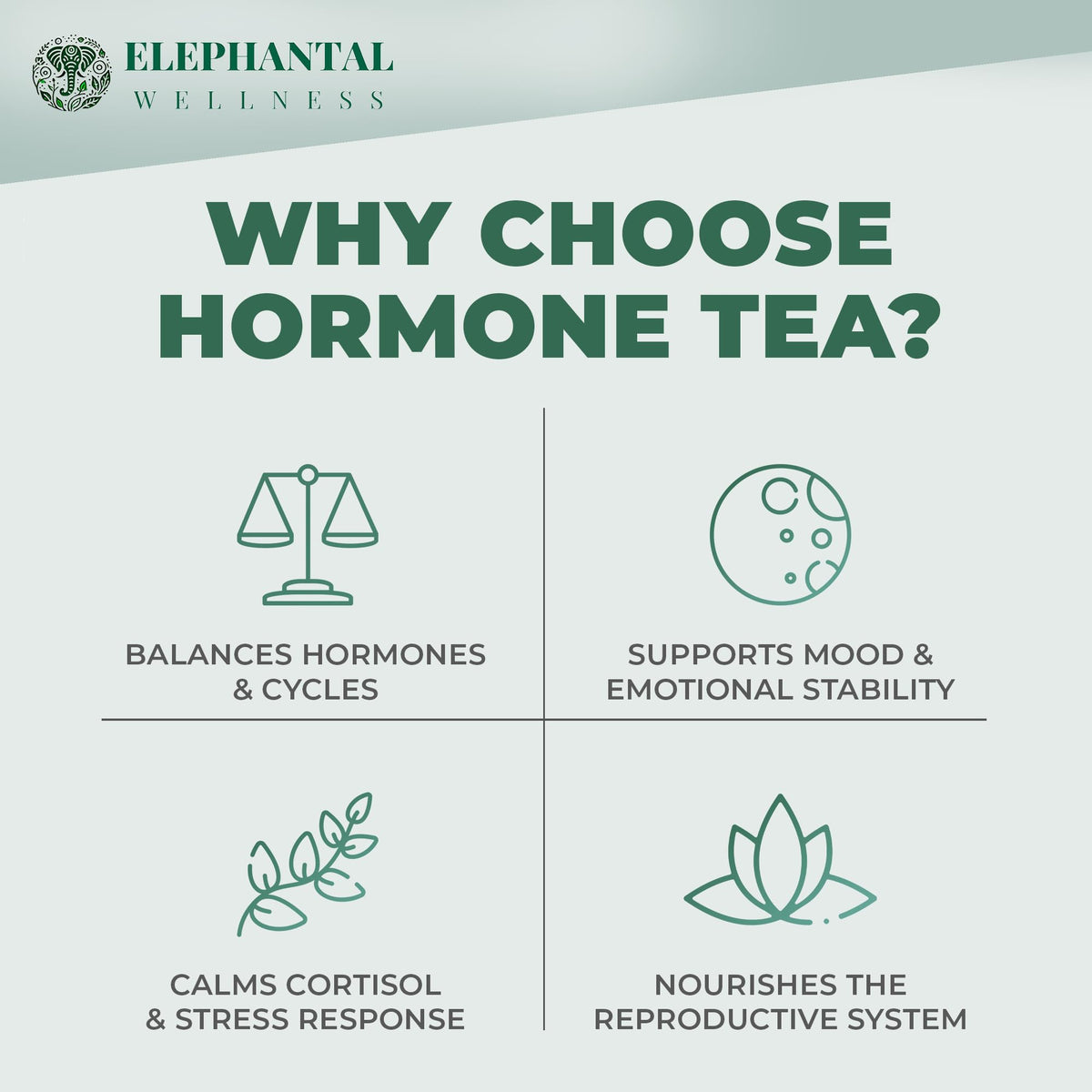 Elephantal Wellness Premium Hormone Herbal Tea | PCOS & Hormone Balance Mood Support