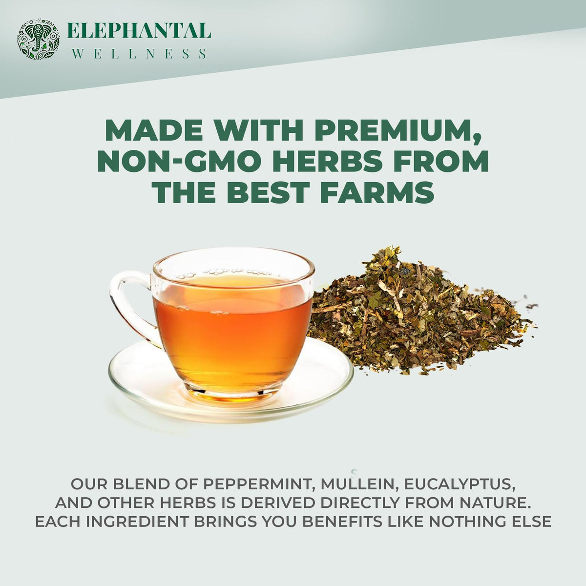 Elephantal Wellness Premium Respiratory Herbal Tea | Lung Detox, Mucus Cleansing & Breathing Support | 2oz Loose Leaf