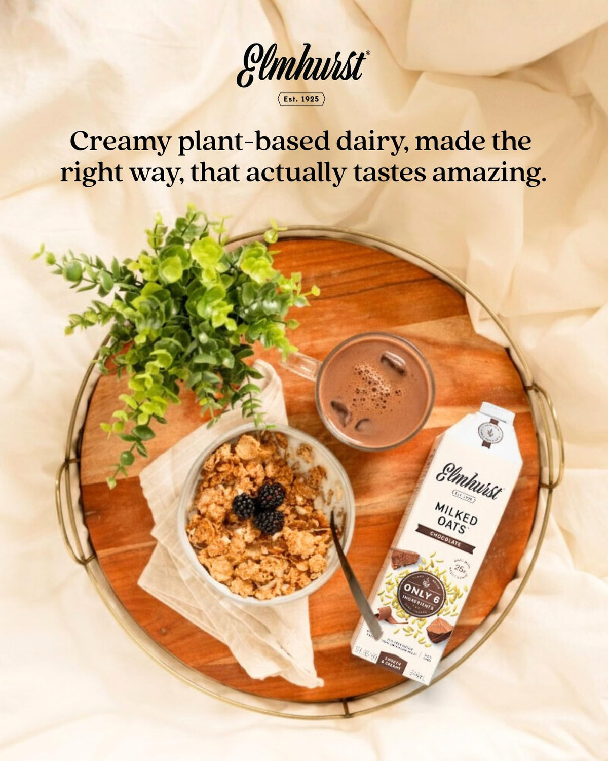 Elmhurst 1925 Chocolate Oat Milk - 32 oz (Pack of 6) Dairy-Free, Vegan, Gluten-Free