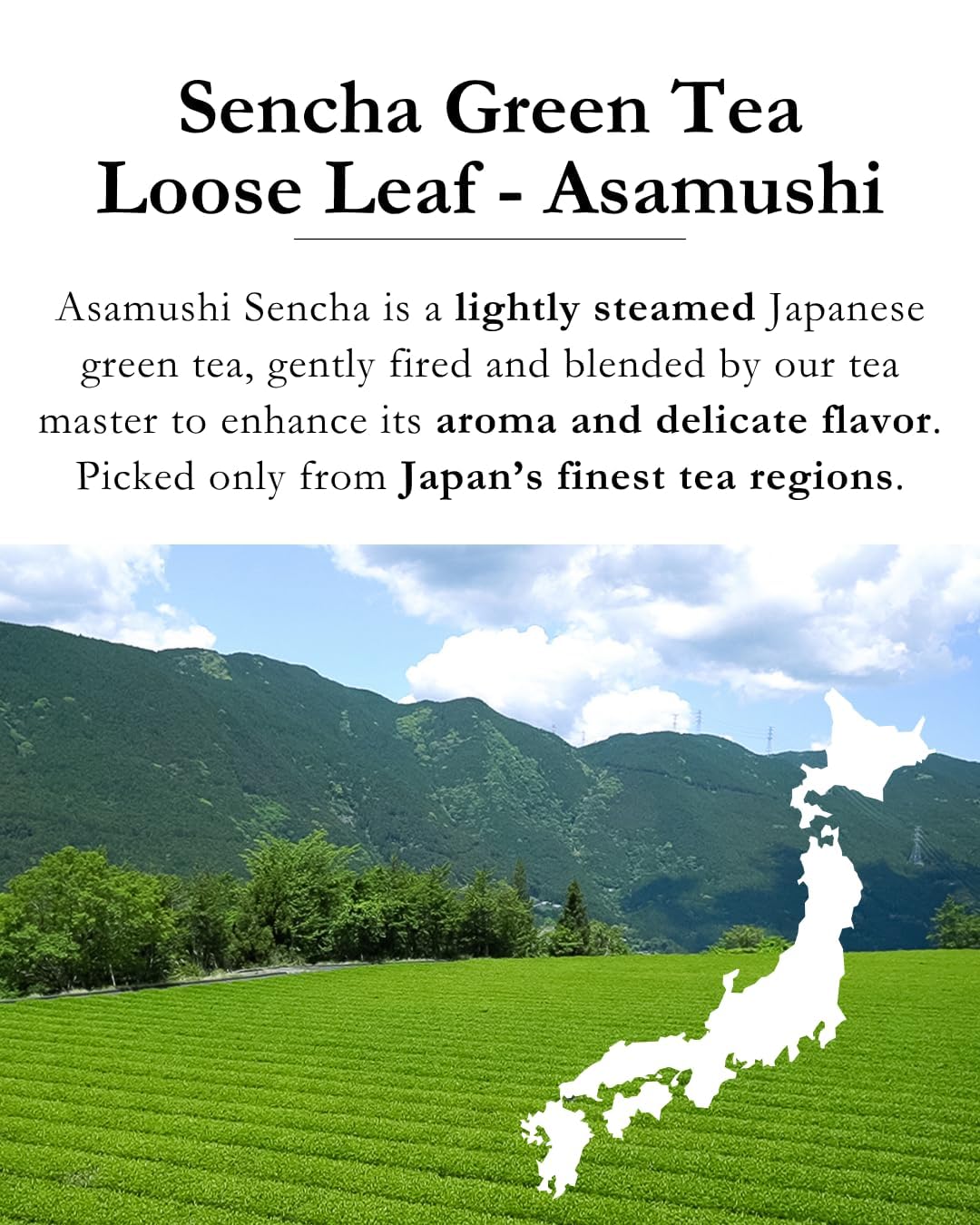 EMPTEA Sencha Loose Leaf Japanese Green Tea (Asamushi First Harvest, Organic) 2.82 oz – Floral, Lightly Steamed