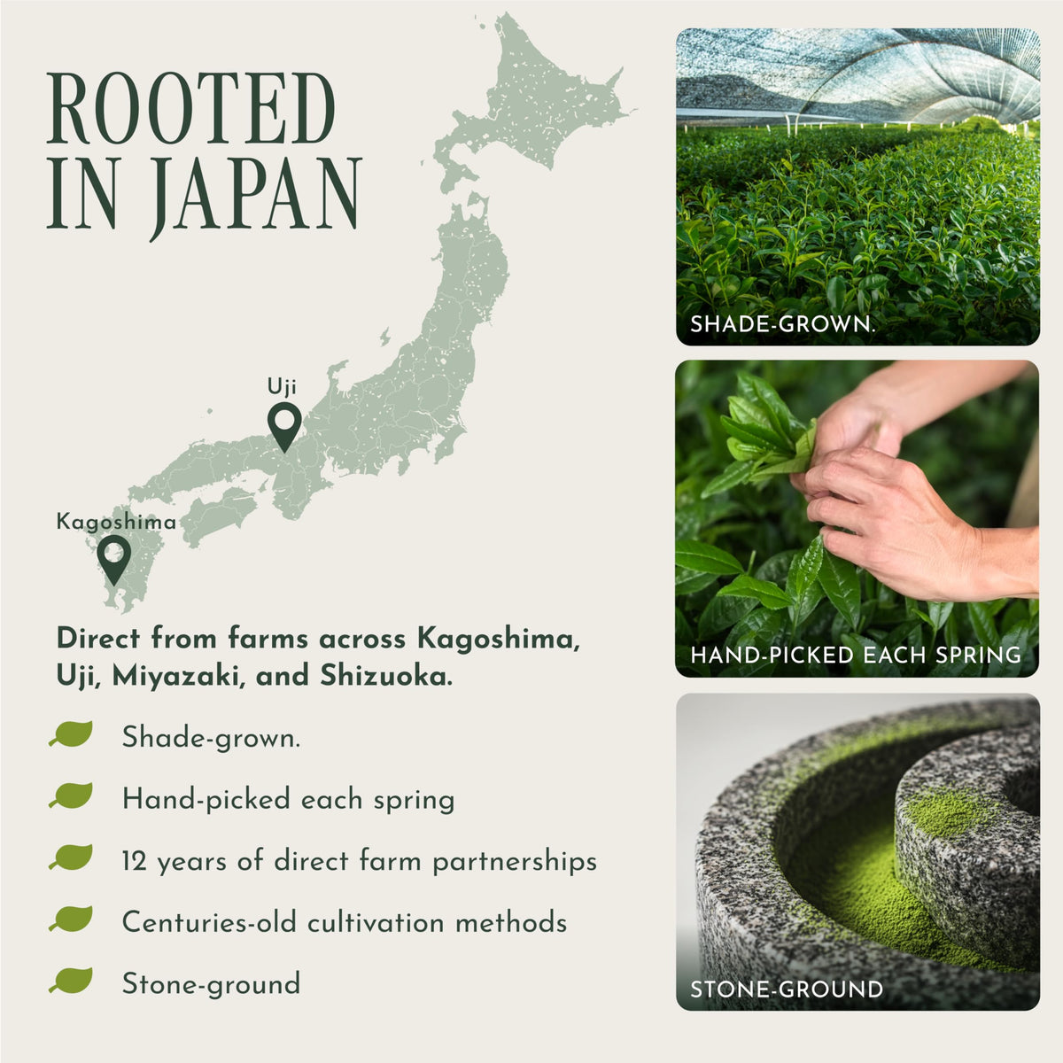 Encha Matcha Latte Grade Powder – Unsweetened, First Harvest, Organic (60g) from Uji, Japan