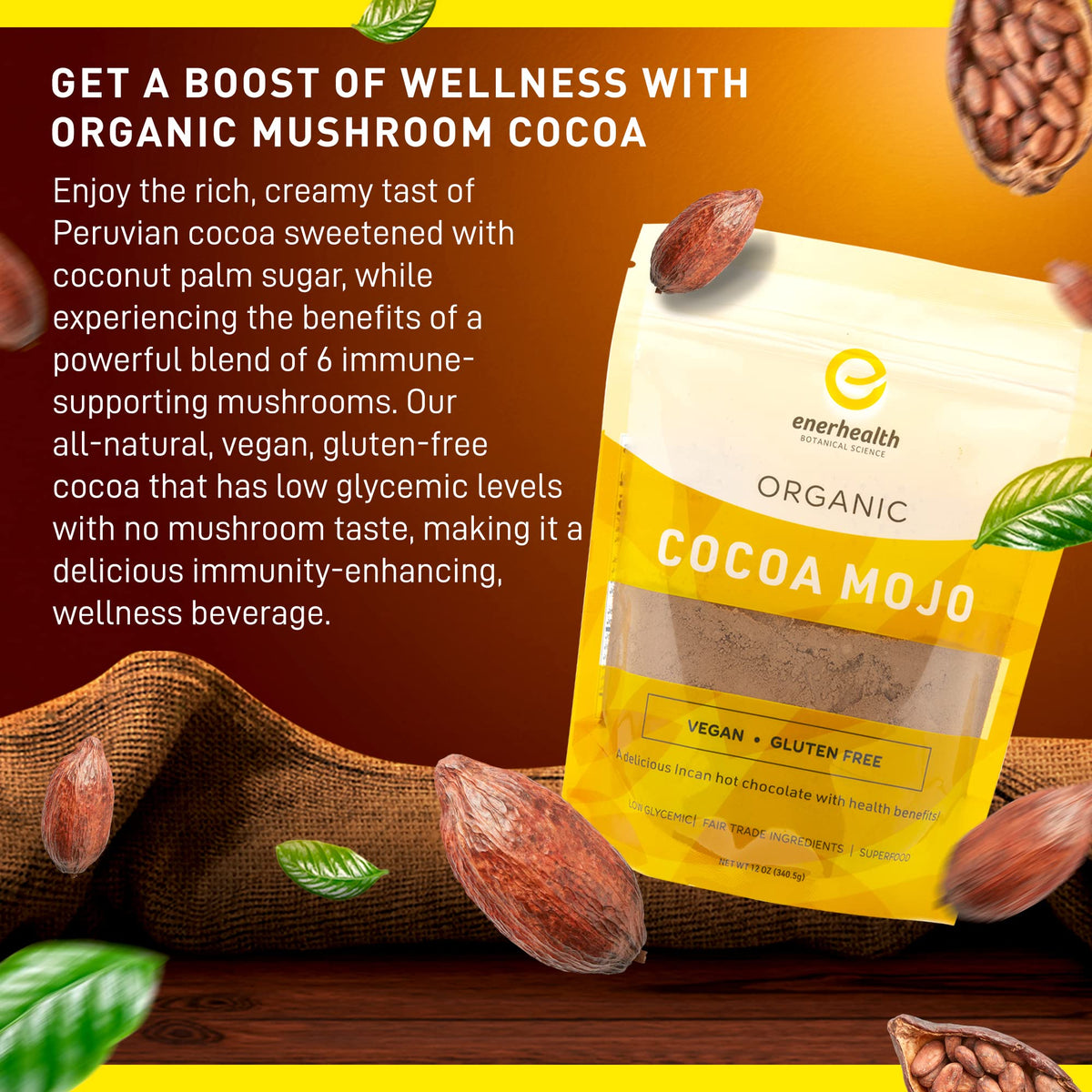 EnerHealth Cocoa Mojo – Organic Peruvian Cocoa Mix with 6 Mushroom Extracts (12 oz)