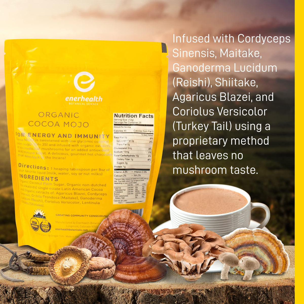 EnerHealth Cocoa Mojo – Organic Peruvian Cocoa Mix with 6 Mushroom Extracts (12 oz)