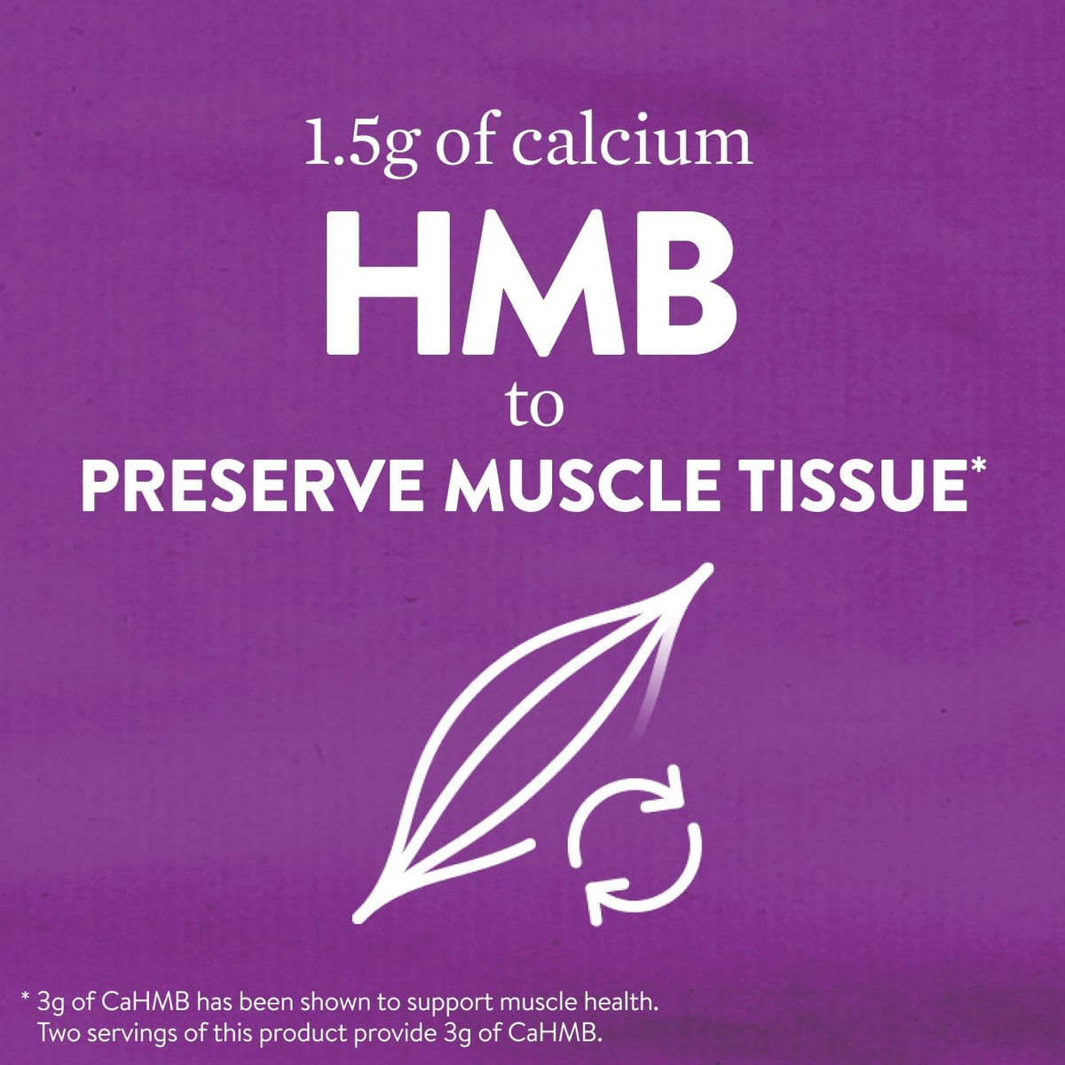 Ensure Max Protein Shake - 30g Protein, 1.5g CaHMB, 12 Pack, Milk Chocolate