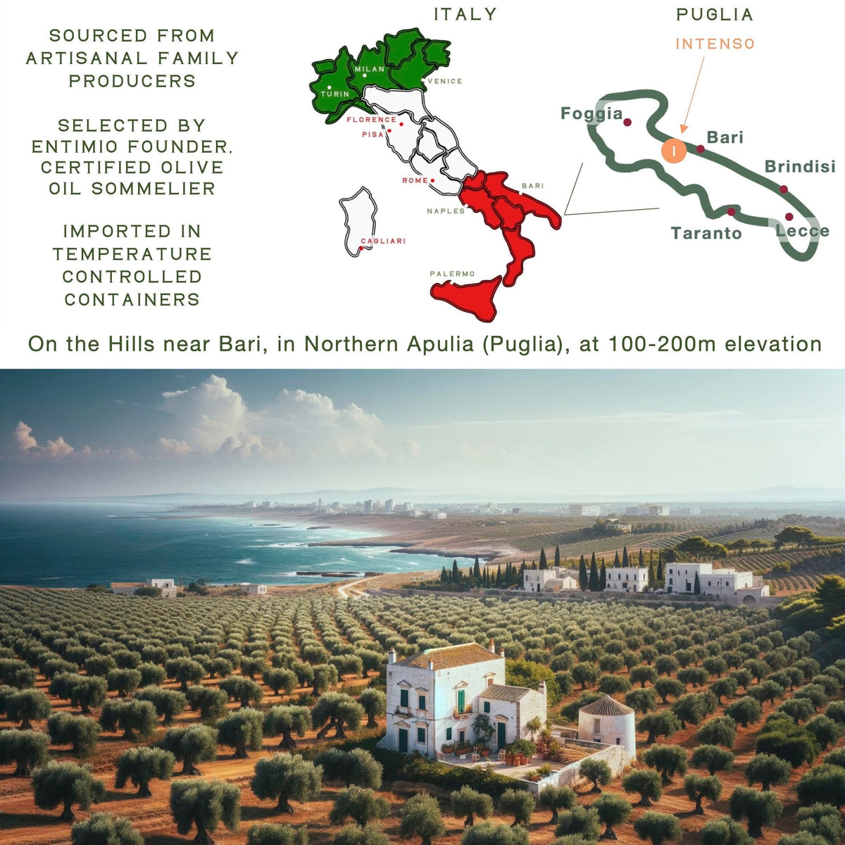 Entimio Intenso Organic Italian EVOO – 2026 NYIOOC Gold, Early Harvest Puglia, Cold Extracted, 16.9 fl oz