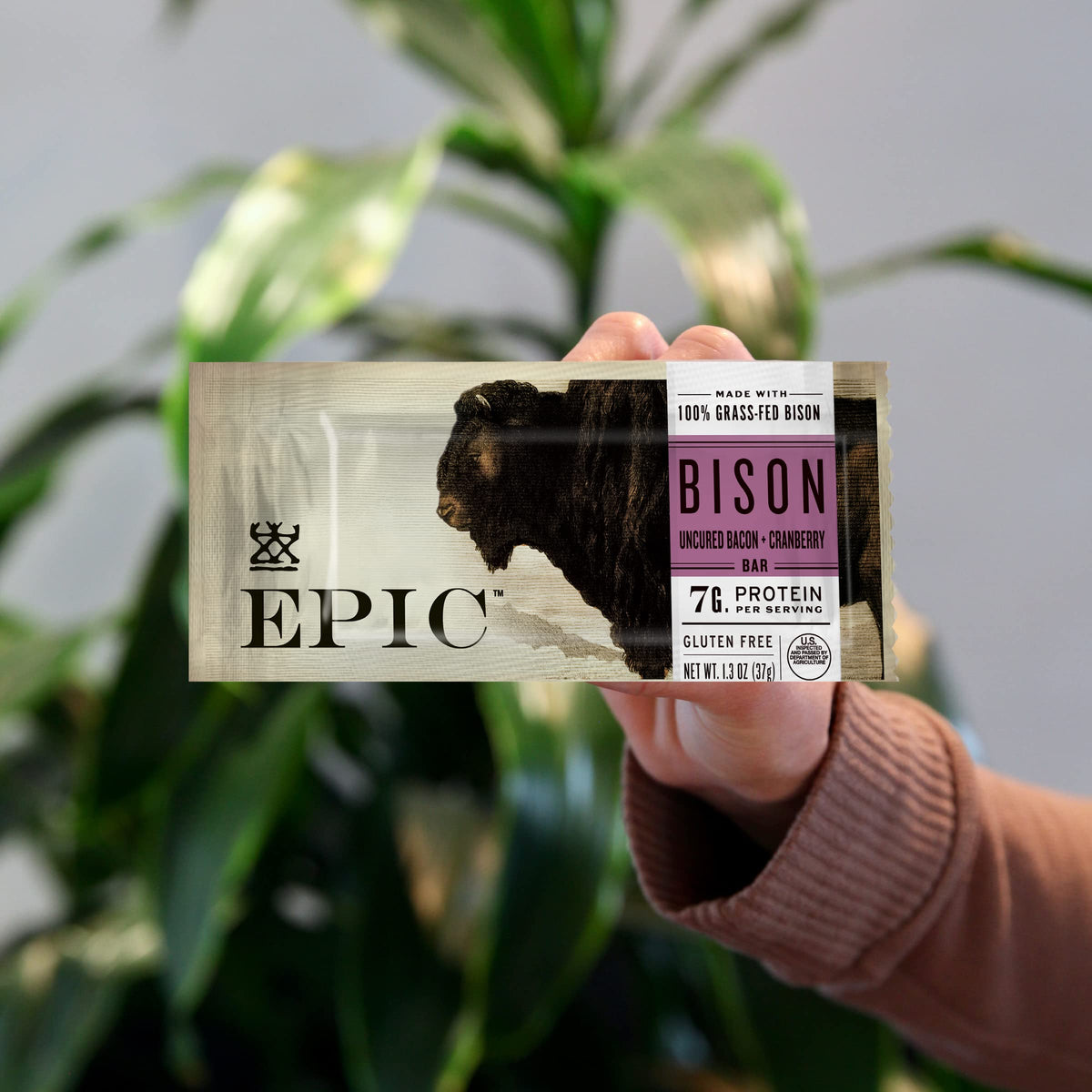 EPIC Bison Uncured Bacon Cranberry Bars - Grass-Fed Protein, Gluten Free (12 Bars)