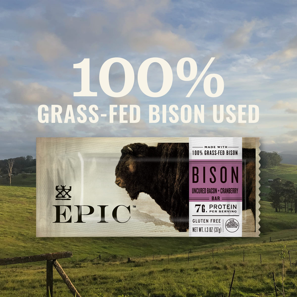 EPIC Bison Uncured Bacon Cranberry Bars - Grass-Fed Protein, Gluten Free (12 Bars)
