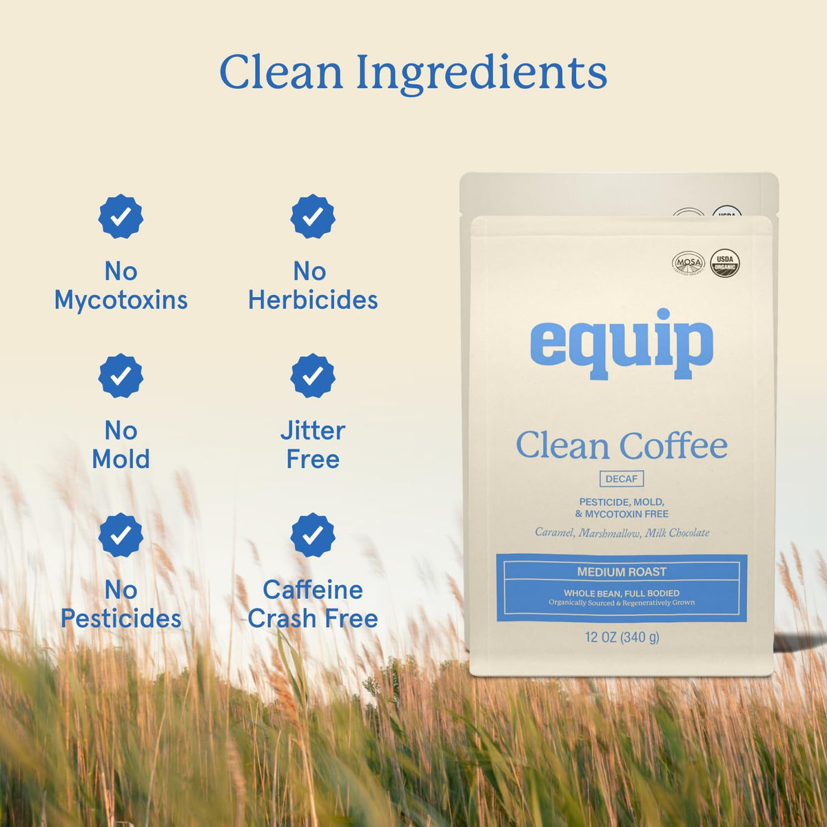 Equip Foods Decaf Clean Coffee — Organic, Fair Trade, Regenerative Honduras Medium Roast