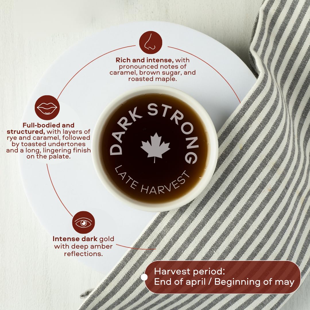 Escuminac Late Harvest Maple Syrup – Organic, Grade A, Dark Robust Flavor | 16.9 oz Glass Bottle | 100% Pure Canadian Syrup