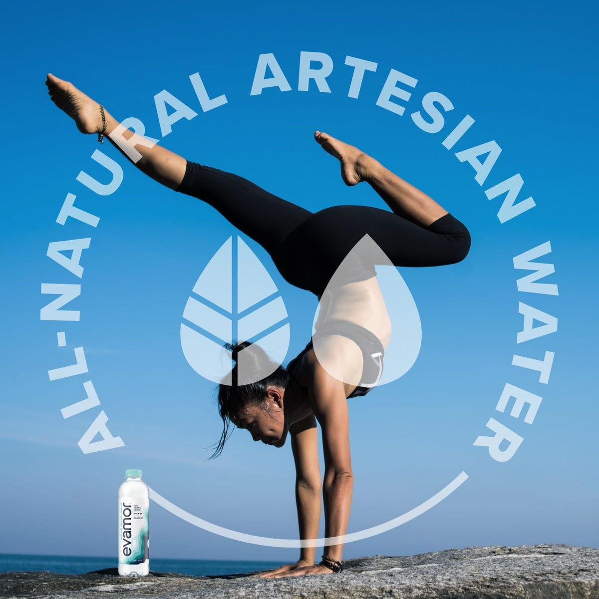 EVAMOR Artesian Water – Naturally Alkaline & Electrolyte Hydration (12 x 20 oz)