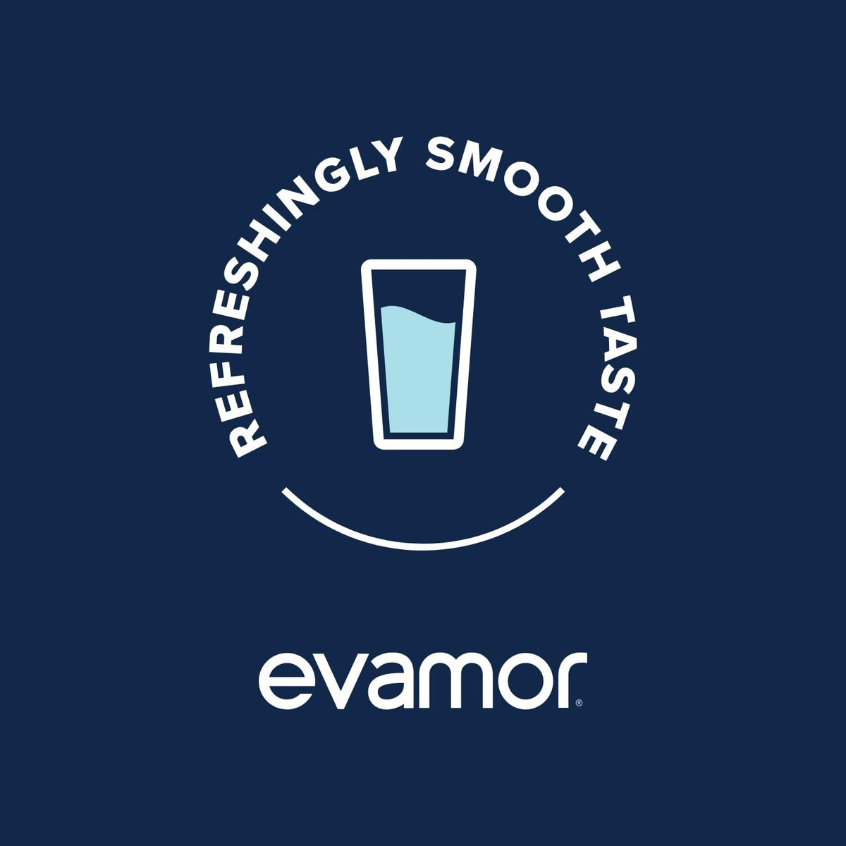EVAMOR Artesian Water – Naturally Alkaline & Electrolyte Hydration (12 x 20 oz)