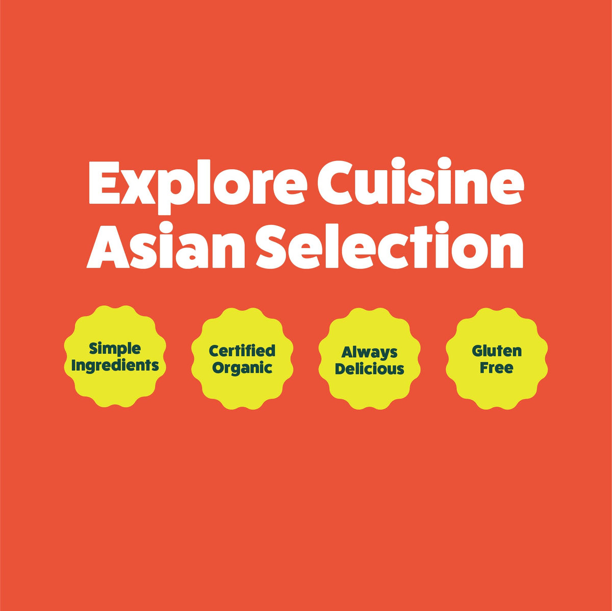 EXPLORE CUISINE Organic Brown Rice Ramen – 6 Pack, Gluten Free, 48 Servings