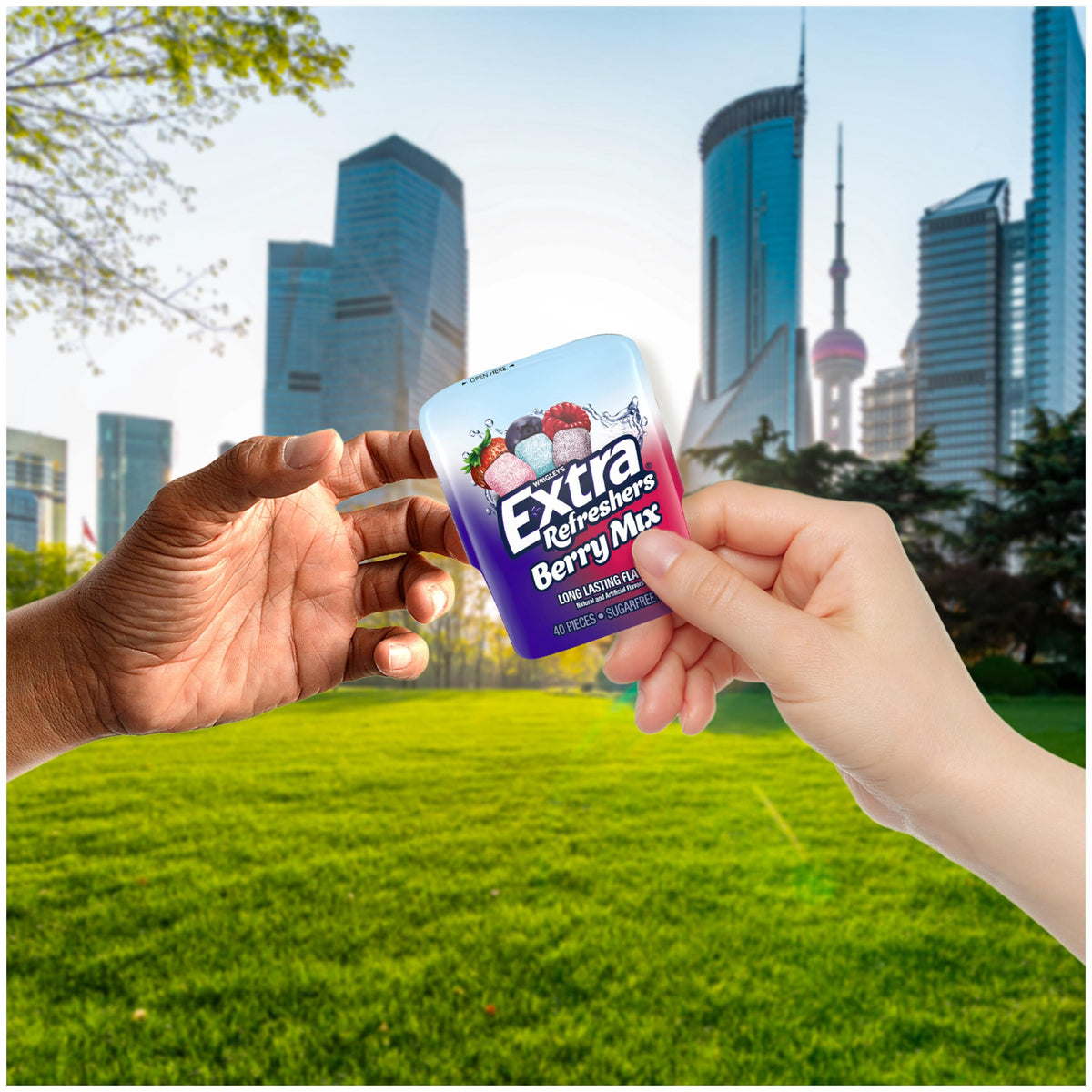 EXTRA Gum Sugar-Free Berry Mix – 6 Bottles (40 Pieces Each) | 3.21 oz