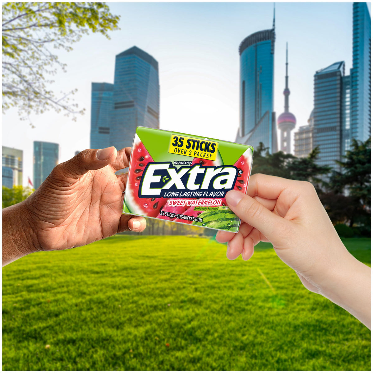 Extra Sweet Watermelon Sugar Free Gum Mega Bulk Pack – 210 Sticks