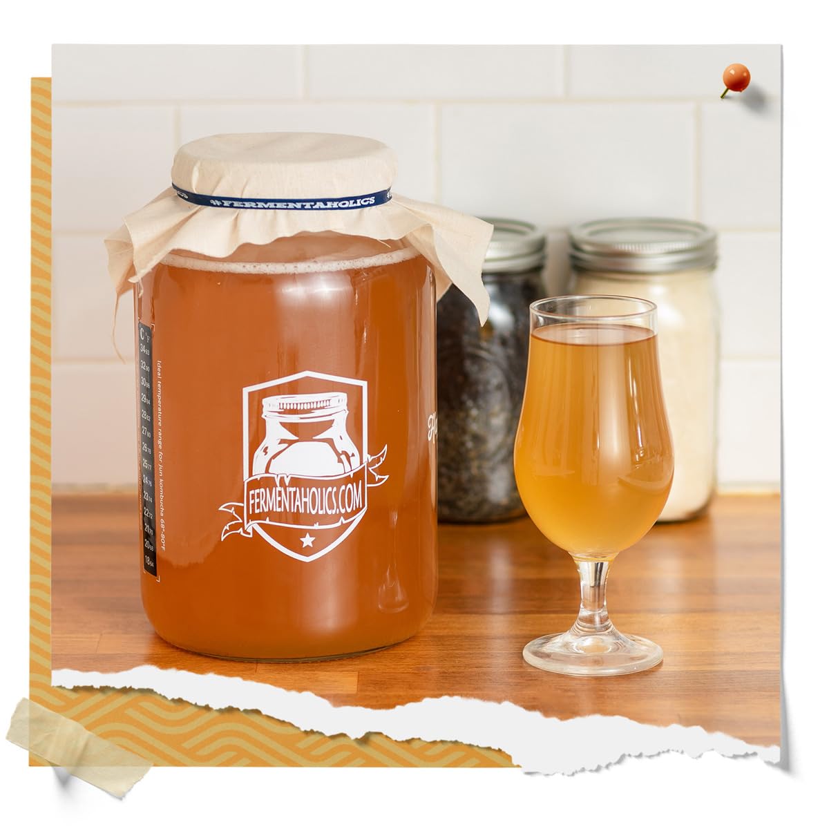 Fermentaholics Organic Kombucha SCOBY with Twelve Ounces of Starter Tea – Makes One Gallon Batch (2 Pack)
