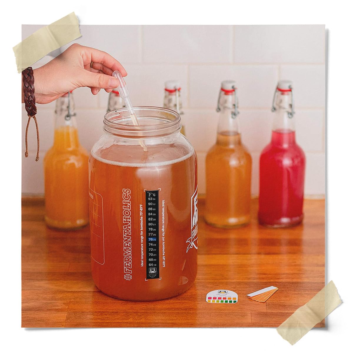 Fermentaholics Organic Kombucha SCOBY with Twelve Ounces of Starter Tea – Makes One Gallon Batch (2 Pack)