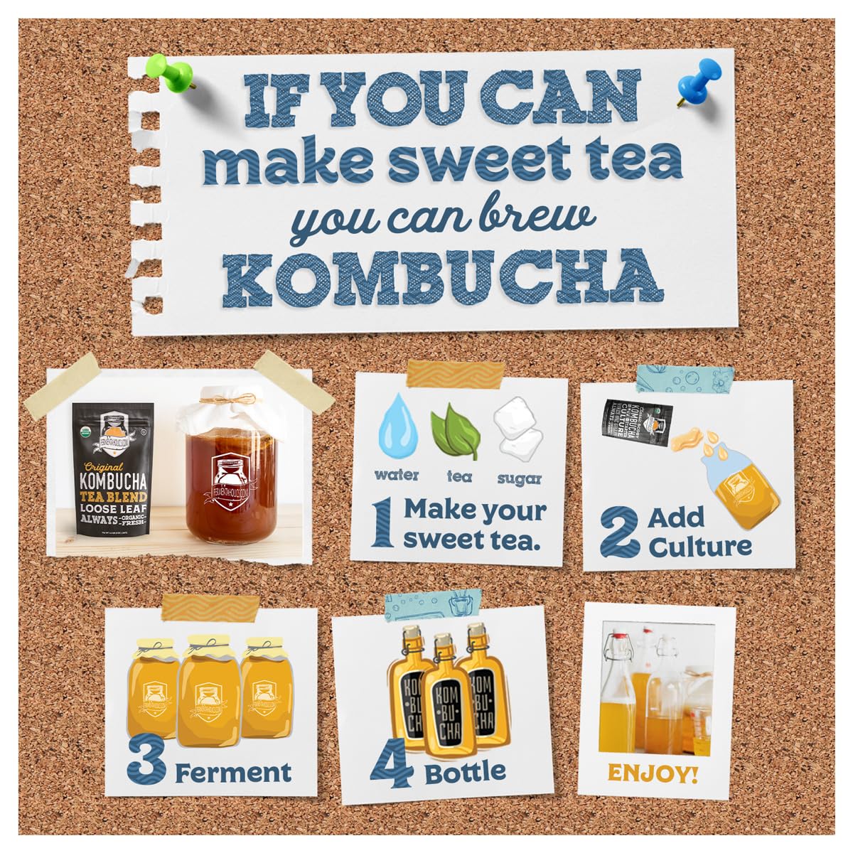 Fermentaholics Organic Kombucha SCOBY with Twelve Ounces of Starter Tea – Makes One Gallon Batch (2 Pack)