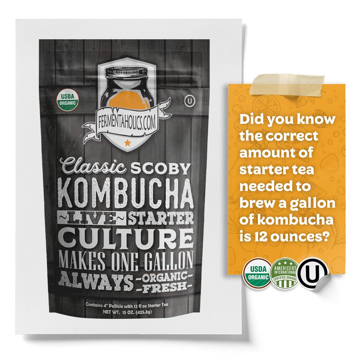 Fermentaholics Organic Kombucha SCOBY with Twelve Ounces of Starter Tea – Makes One Gallon Batch (2 Pack)