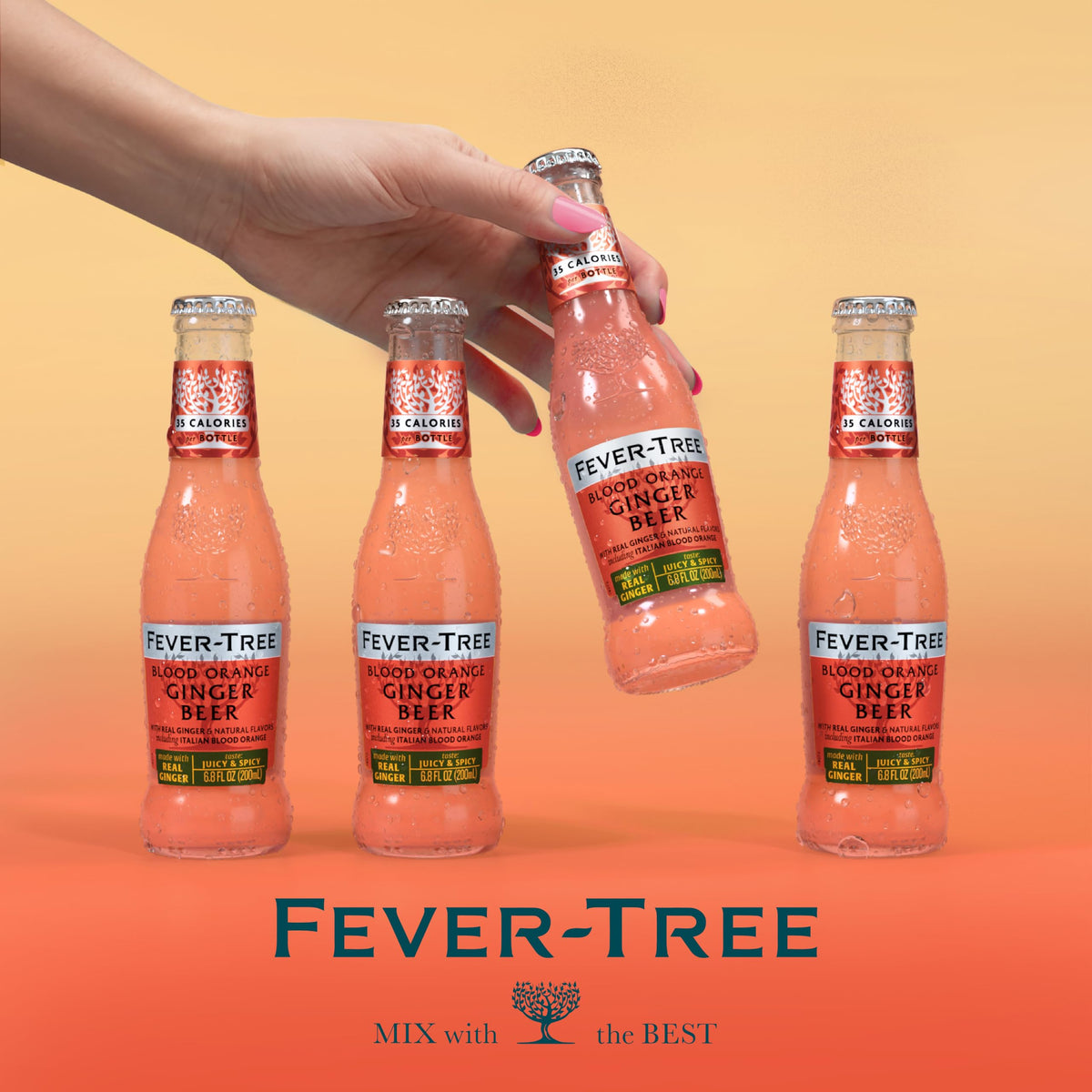 Fever-Tree Blood Orange Ginger Beer – Premium Mixer for Cocktails & Mocktails, 6.8 fl oz Bottles (Pack of 4), Naturally Sourced, Non-GMO