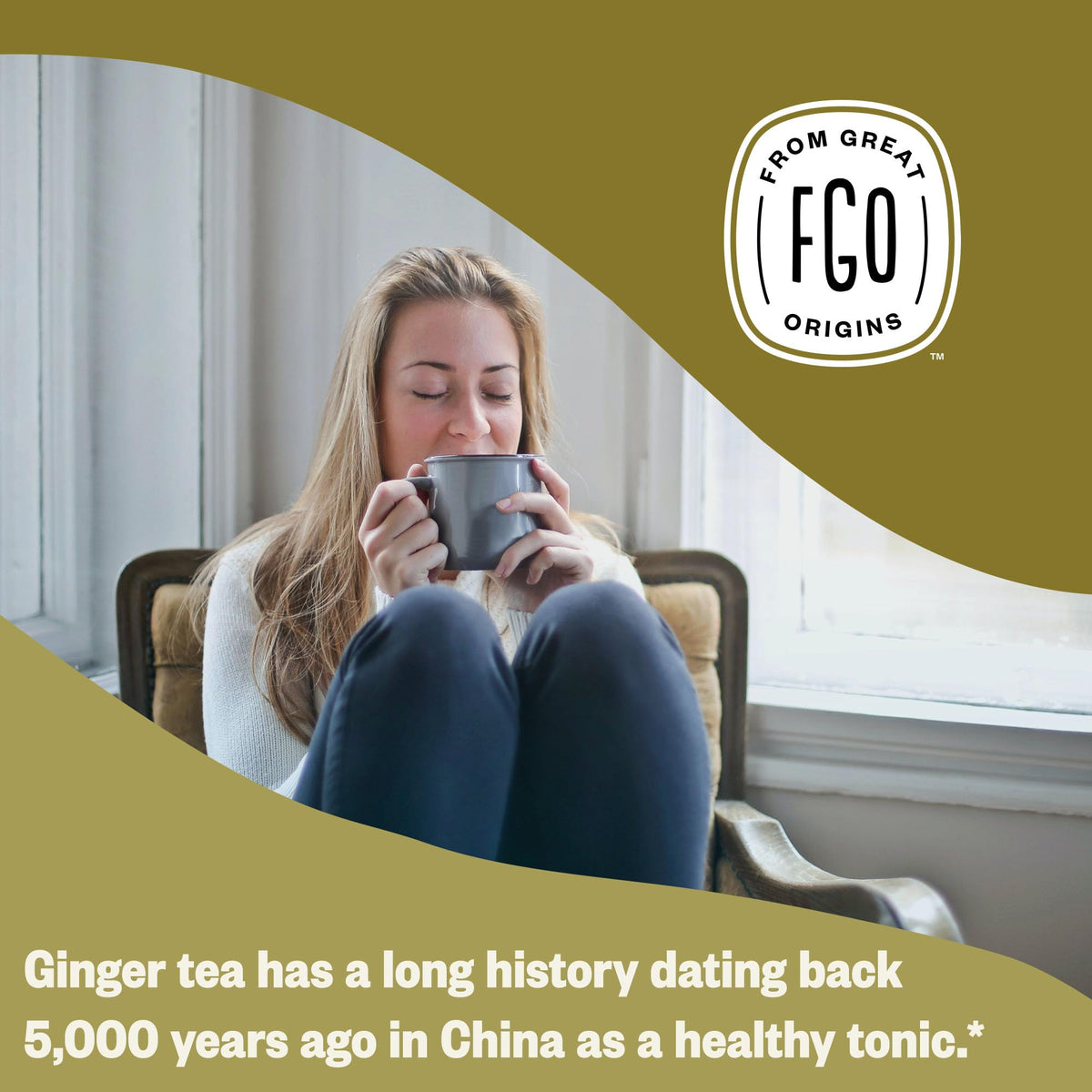 FGO Organic Ginger Tea – 100 Count, Caffeine Free, Eco-Conscious Tea Bags (Pack of 1)