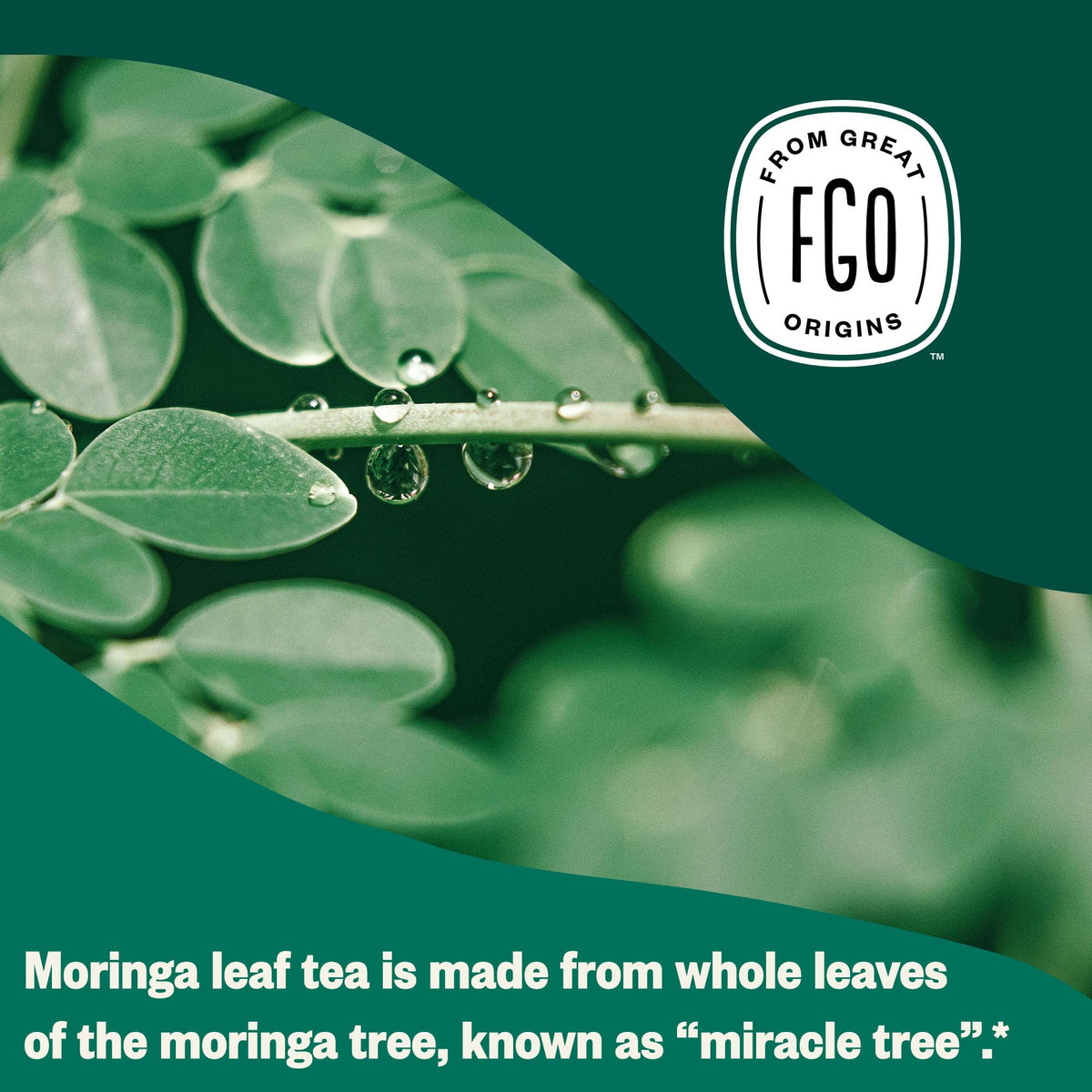 FGO Organic Moringa Mint Tea — 100 Eco-Conscious Tea Bags, Caffeine Free, Resealable Pack (Pack of 1)