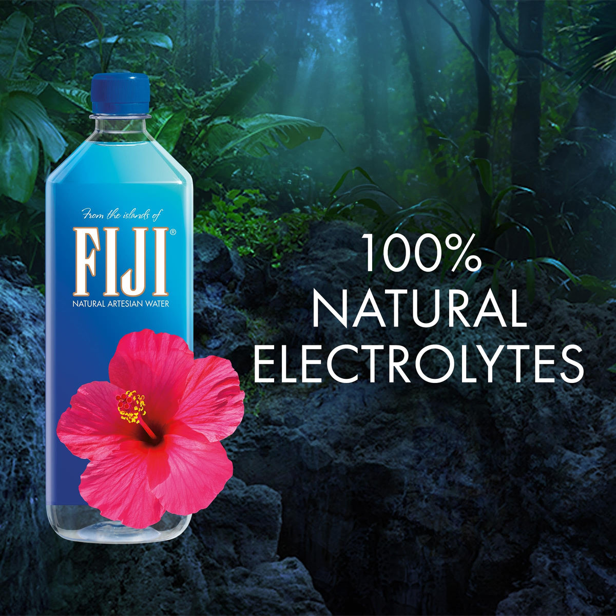 FIJI Water 1-Liter Pack (12 Bottles) – Natural Artesian Bottled Water