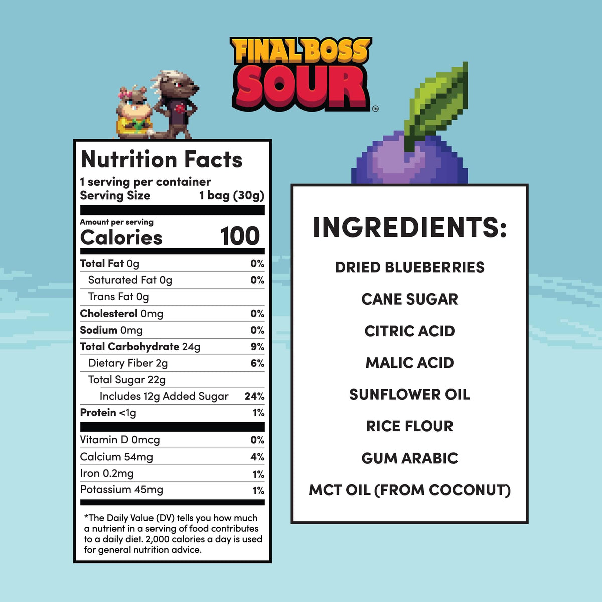 Final Boss Sour Candy Blueberry Level 1, 10 Pack — Real Dried Fruit, Clean Label
