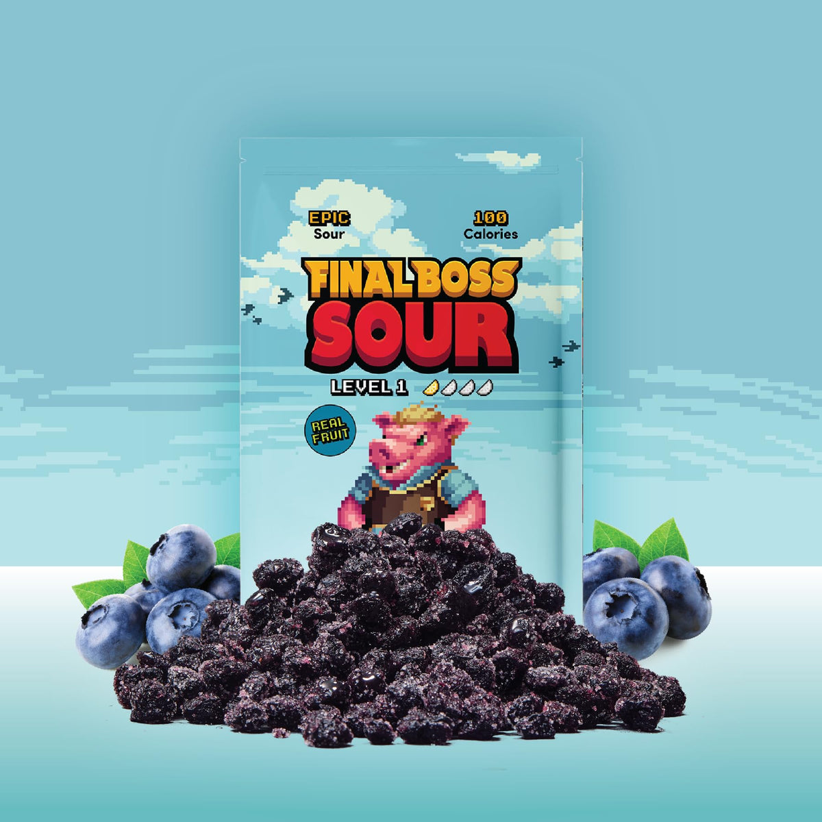 Final Boss Sour Candy Blueberry Level 1, 10 Pack — Real Dried Fruit, Clean Label