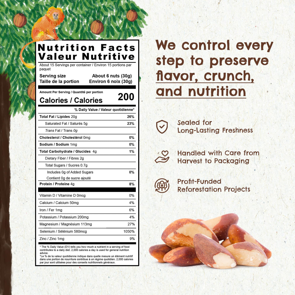Snack The True Organic Brazil Nuts 15 oz – Raw & Unsalted – Kosher – Vegan & Gluten Free | Floresta em Pé | Forest Up