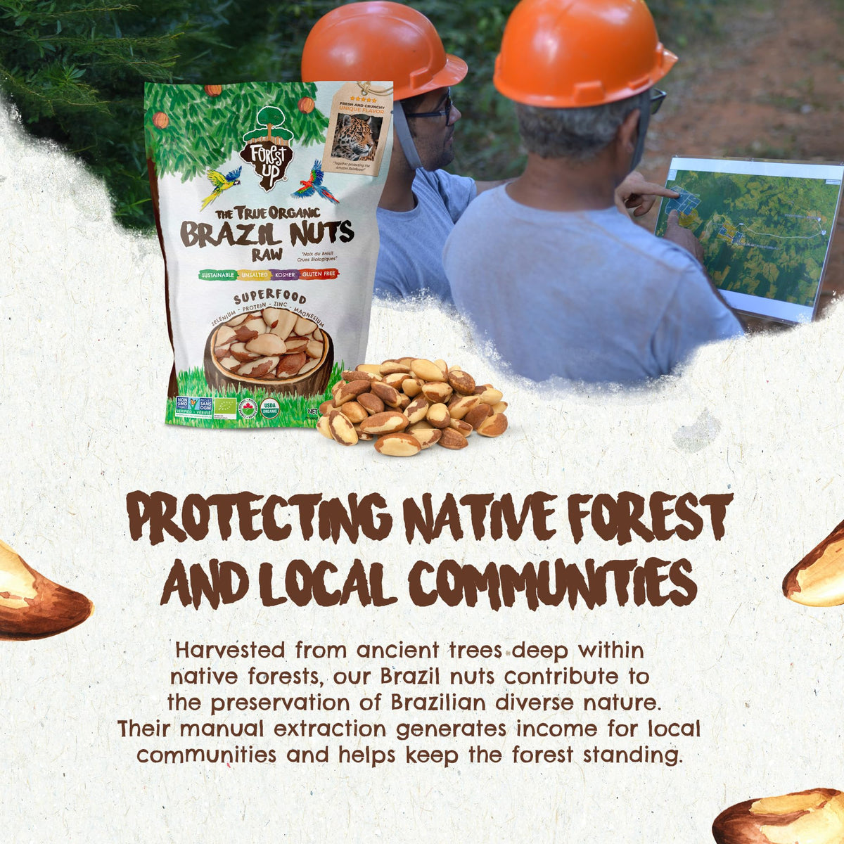 Snack The True Organic Brazil Nuts 15 oz – Raw & Unsalted – Kosher – Vegan & Gluten Free | Floresta em Pé | Forest Up