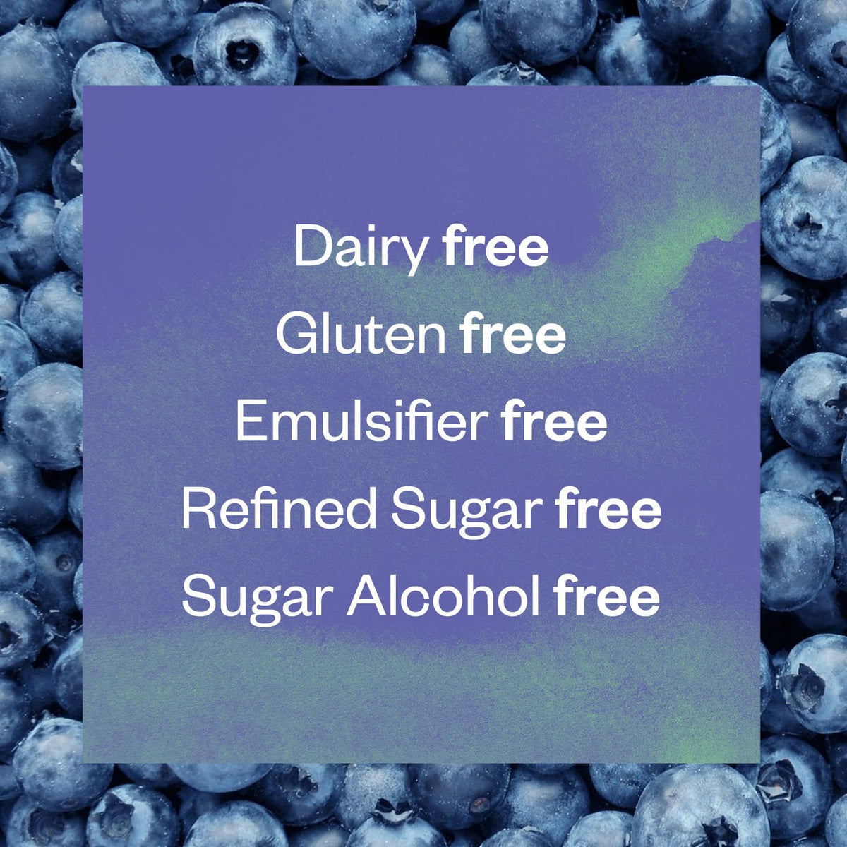 Floura Blueberry Matcha Fiber Bars - Vegan, Gluten & Dairy Free High Fiber Snack (10 Pack)