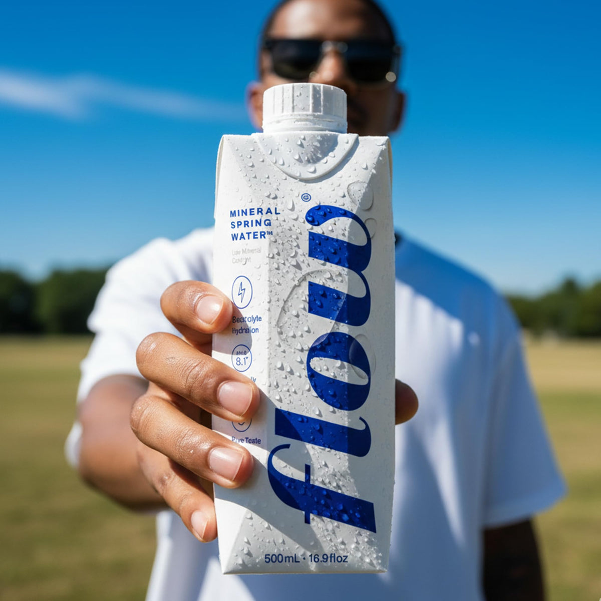 Flow Alkaline Spring Water – Naturally Alkaline with Electrolytes, Eco-Friendly 12-Pack (16.9 oz)