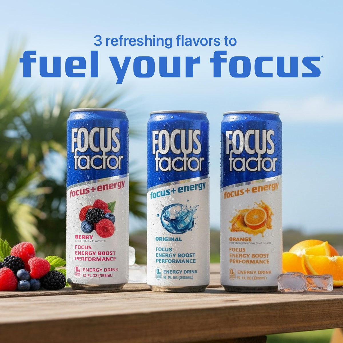 Focus Factor Energy Drink Orange – 12x355ml Cans | Sugar Free, Low Calorie